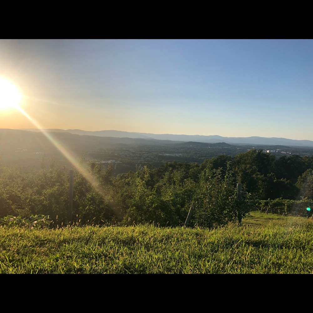 Meet your Posher, Isabelle